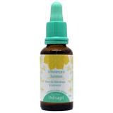 Floral therapi - lideranca e sucesso - 30ml