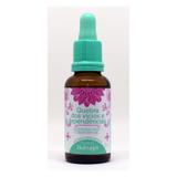 Floral therapi - vicios e dependencias - 30ml - Natusaude