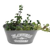 FLOREIRA Flowers Garden Metal 18,8X10X9,5CM - Garden flowers