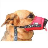 Focinheira Conforto Para Cães - Petmed