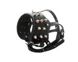 Focinheira De Couro Com Spikes Pitbull E Outras Raças - Pet import