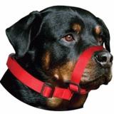Focinheira Nylon Com Regulagem - Amf pet