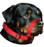 Focinheira Nylon Pet Ajuste Cachorro Cães - Amf pet