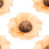 Forminha de Seda para Doces Flor Salmão Nude 40 unidades Decorart - Festabox