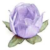 Forminha para Doces Amarilis Lilás 24 Unidades Cromus