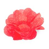 Forminhas de Crepom Simp Flor Poá Vermelho e Branco 40unid - Festabox