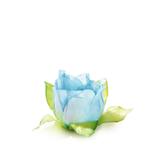 Forminhas para Doces Flor Tulipa Azul Claro 24 unidades Cromus