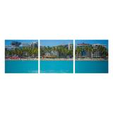 Fotografia Artistica Profissional Natureza Caribe 3 de 65cmx65cm - Omnii fast
