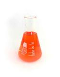Frasco Erlenmeyer 50Ml Vidro Ronialzi