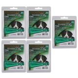 Frontline Plus Antipulgas e Carrapatos Cães 40 a 60kg Kit 5 unidades Merial - Merial boehringer