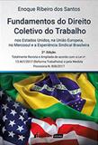 Fundamentos do direito coletivo do trabalho - Lumen juris