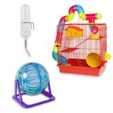 Gaiola Hamster Anão Chinês + Globo + Bebedouro - Jel plast