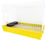 Gaiola Para Coelho Grande Bandeja E Grade Removível Com Porta Frontal Cor Amarelo - Distribuipet