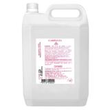 Gel Condutor Plurigel Galão 5kg Carbogel - 2un