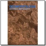 Geomorfologia - Edgard blucher