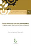 Gestao da Inovaçao para Pequenas Empresas - E-papers