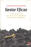 Gestor eficaz - praticas para se destacar em um ambiente empresarial competitivo - Novo conceito