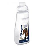 Glicopan Energy 1 Litro Suplemento Vetnil