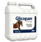 Glicopan energy 5 litros suplemento vitaminico validade 05/21 - Vetnil