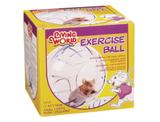 Globo de Exercício para Hamster - Chalesco