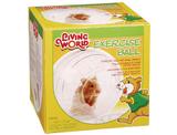 Globo de Exercício para Hamster - Chalesco
