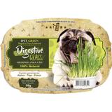 Graminha Ipet Green Digestive Grass para Cães