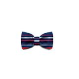 Gravata Borboleta Rocket-P - Zee dog