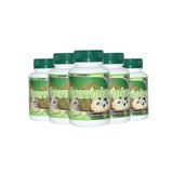 Graviola 100 Cápsulas 500mg Kit 5 - Erva Nativa