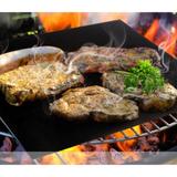 Grill Chapa Manta Grelha para Churrasco Uitech