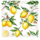 Guardanapo de Papel Citrus 20PÇS 33CM - Ambiente