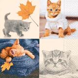 Guardanapo De Papel Decorado Gato - Paper+design