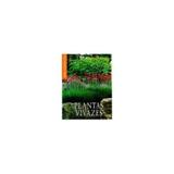 Guia compacto: plantas vivazes - Sprint