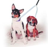 Guia dupla Adestramento E Passeio De Cães completa - Dedcases