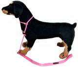 Guia Unificada 6mm Super-resistente Rosa - Molinas pet