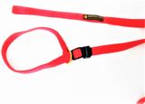 Guia Unificada Para Treinamento, Passeio Vermelho - Molinas pet