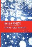 Gyula Kosice In Conversation With / En Conversacion Con Gabriel Perez-Barreiro - Ed. fundacion cisneros