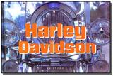 Harley davidson - Gribaudo