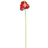Haste Flor Artificial Antúrio Spray Vermelho 75cm - Melyana