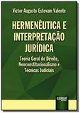 Hermeneutica e interpretacao juridica - teoria ger - Jurua