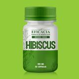 Hibiscus 300 mg - 60 cápsulas - Farmácia eficácia