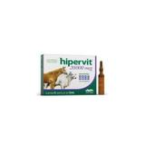 Hipervit 20.000 mcg - 5 ml - Vetnil
