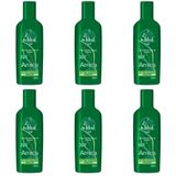 Ideal Arnica Gel P/ Passagem Corporal 240ml (Kit C/06)