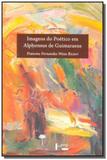Imagens do poetico em alphonsus de guimaraens - Edusp
