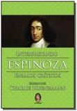Interpretando espinoza: ensaios criticos - Madras
