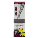 Intestin Homeopatico Diarréia Cães e Gatos 30ml - Homeopet Real H - Homeopet - real h