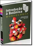 Introdução a Botânica - Instituto plantarum