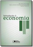 Introducao a economia 11 - Saraiva