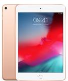 iPad Mini 7.9 wifi 64GB - Aapl