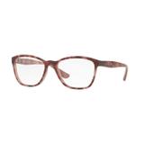 Jean Monnier J83170B F565 Tartaruga Lente Tam 53