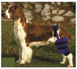 Joelheira Ajustável para Cães - Tam.: G - Ortocane